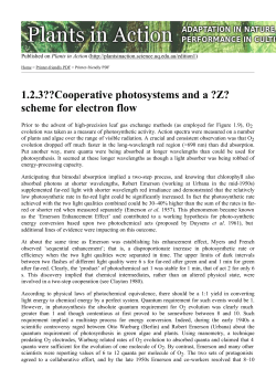 1.2.3??Cooperative photosystems and a ?Z? scheme for electron flow