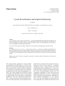 Cycad diversification and tropical biodiversity