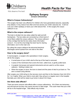 Corpus Callosotomy - Children`s Hospital of Wisconsin