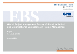 Global Project Management Survey: Cultural, Individual and
