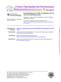 Survival and Homeostasis Essential Role for CAML in Follicular B Cell