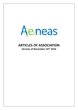 articles of association - Penta