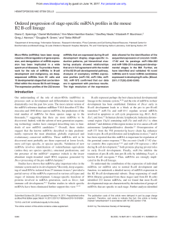 Ordered progression of stage-specific miRNA