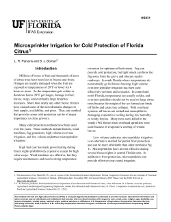 Citrus Care - Cold Protection with Microirrigation