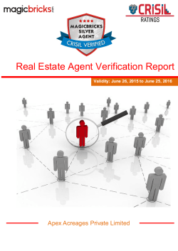 Real Estate Agent Verification Report