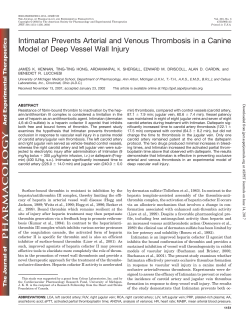 Intimatan Prevents Arterial and Venous Thrombosis in a Canine