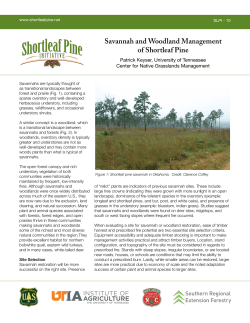 Savannah and Woodland Management of Shortleaf Pine