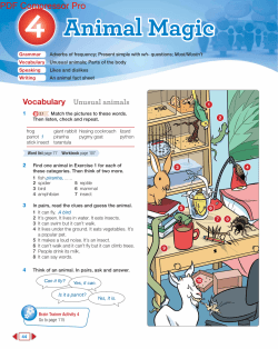 4 Animal Magic