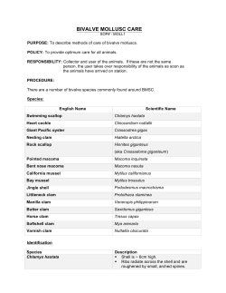 BIVALVE MOLLUSC CARE