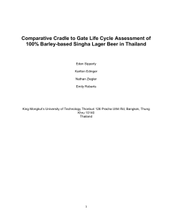 Final Report - UNC Institute for the Environment