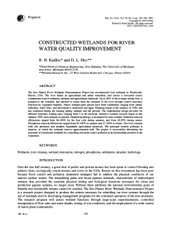 Constructed wetlands for river water quality improvement