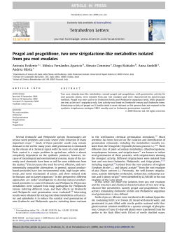 Peagol and peagoldione, two new strigolactone