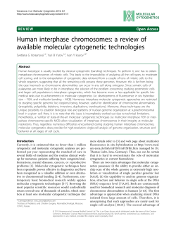 Human interphase chromosomes: a review of available molecular