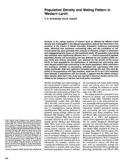 Population Density and Mating Pattern in Western Larch