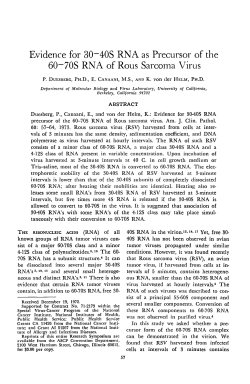 Evidence for 30~40S RNA as Precursor of the 60~70S RNA of Rous