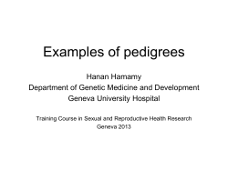 Examples of pedigrees