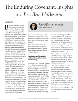 The Enduring Covenant: Insights into Bris Bein HaBesarim
