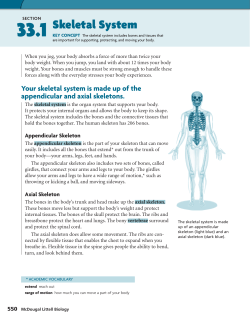Skeletal System