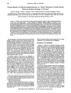 Protein bound DOPA is a major reductant formed during hydroxyl