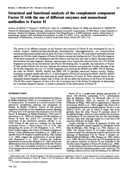 Structural and functional analysis of the