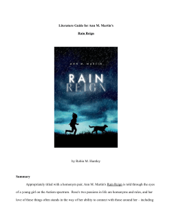 Rain Reign - Hilltown Families