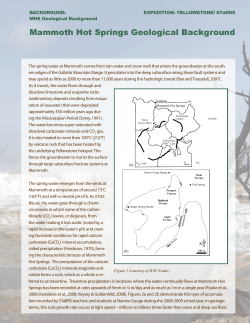 Mammoth Hot Springs Background