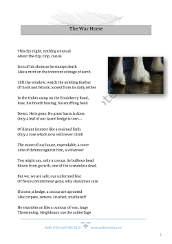 The War Horse - Aoife`s Notes