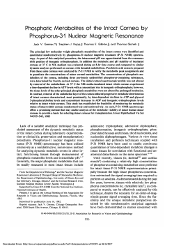 Phosphatic metabolites of the intact cornea by phosphorus