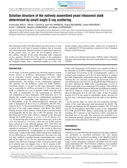 Solution structure of the natively assembled yeast ribosomal stalk