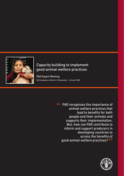 Capacity building to implement good animal welfare practices