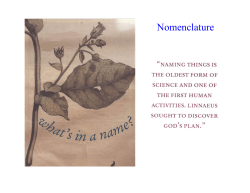 Nomenclature
