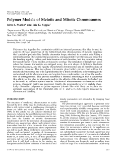 Polymer Models of Meiotic and Mitotic Chromosomes