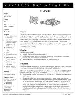 Document - Digital Chalkboard