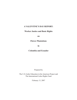 Flower White Paper.indd - International Labor Rights Forum