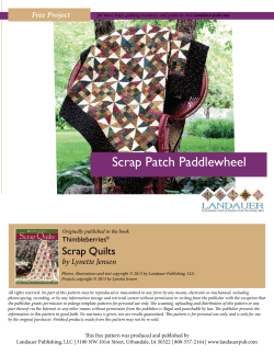 Scrap Patch Paddlewheel