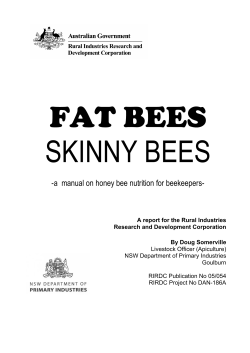 Fat Bees Skinny Bees