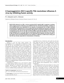 A haemagglutinin (HA1)-specific FAb neutralizes influenza A virus