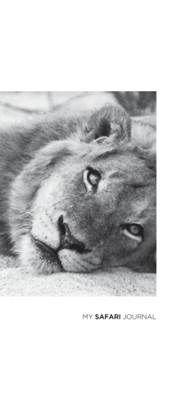 my safari journal - Lion Sands Game Reserve