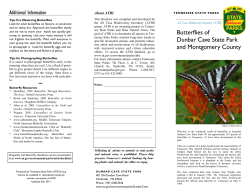 Butterflies of Dunbar Cave State Park and Montgomery County