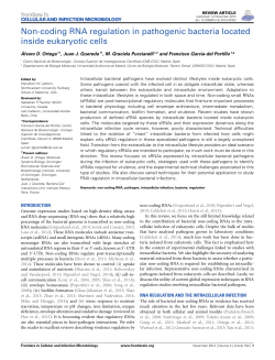 Non-coding RNA regulation in pathogenic bacteria located inside