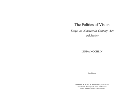 The Politics of Vision - Michigan State University