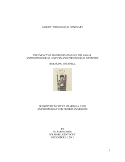 The Impact of Modernization on the Nagas