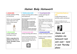 Human Body Homework