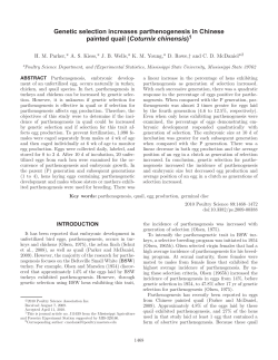 Genetic selection increases parthenogenesis in Chinese painted quail