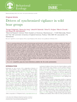 Drivers of synchronized vigilance in wild boar