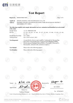 Test Report