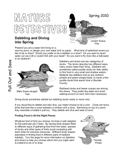 NatDet DabblersDivers Spring10.pub
