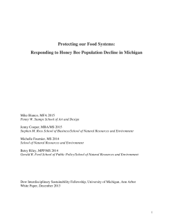 Protecting our Food Systems: Responding to Honey Bee Population