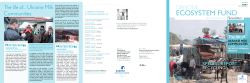 ECOSySTEM FUND