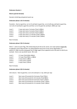 Endurance Session 1 Warm-up (8-10 minutes) Dynamic stretching